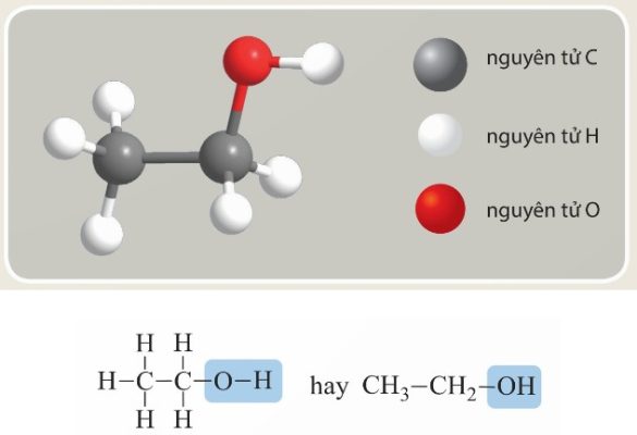 Mô hình phân tử ethylic alcohol