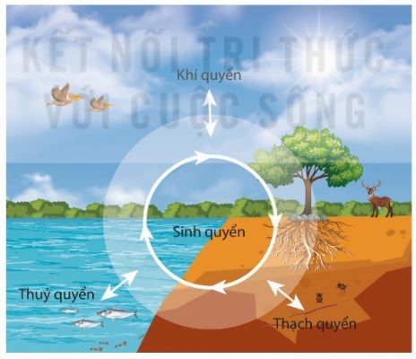 Mô hình về sinh quyển: khí quyển, thủy quyển, thạch quyển