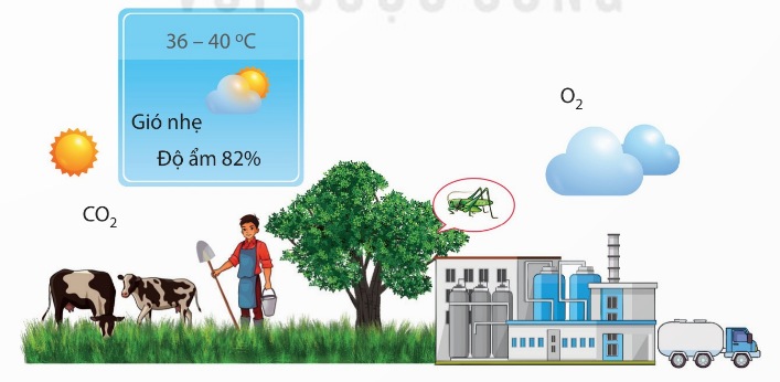 Môi trường sống của cây xanh, thể hiện nhiệt độ, gió, độ ẩm, $O_2$, $CO_2$, ánh sáng, động vật…