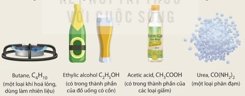Một số hợp chất hữu cơ phổ biến: butane, ethylic alcohol, acetic acid, urea