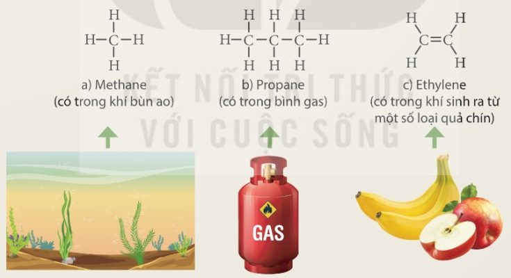 Một số hydrocarbon thông dụng: methane, propane, ethylene