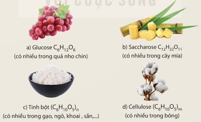 Một số loại carbohydrate và trạng thái tự nhiên (Ảnh Sách KNTT)