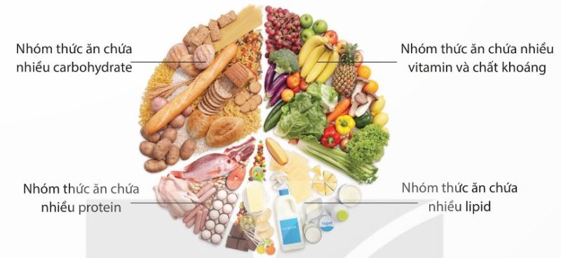Một số loại thức ăn cung cấp chất dinh dưỡng cho con người