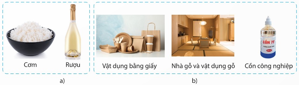 Một số ứng dụng của tinh bột và cellulose