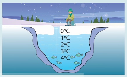 Phân bố nhiệt độ nước trong hồ khi trời dưới 0°C