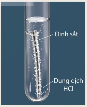 Phản ứng của đinh sắt với dung dịch HCl