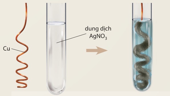 Phản ứng của kim loại Cu với dung dịch AgNO₃