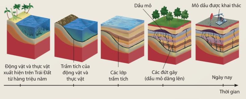 Quá trình hình thành dầu mỏ có trên đất liền