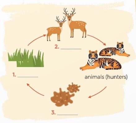 Read the passage again and fill in the diagram