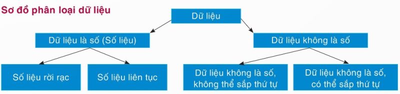 Sơ đồ phân loại dữ liệu SGK