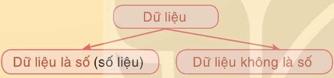Sơ đồ phân loại dữ liệu từ SGK