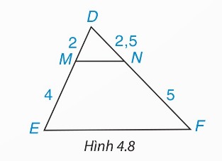 tam giác DEF, DM = 2, ME = 4, DN = 2,5, NF = 5
