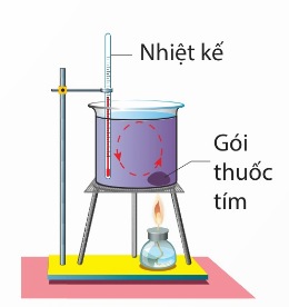 Thí nghiệm đối lưu trong chất lỏng với thuốc tím