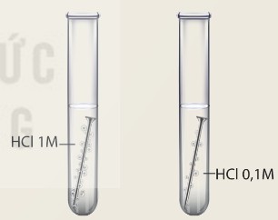 Thí nghiệm phản ứng giữa Fe với dung dịch HCl ở hai nồng độ khác nhau