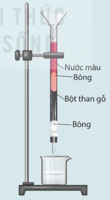 Thí nghiệm tìm hiểu tính chất hấp phụ của bột than gỗ (Ảnh Sách KNTT)