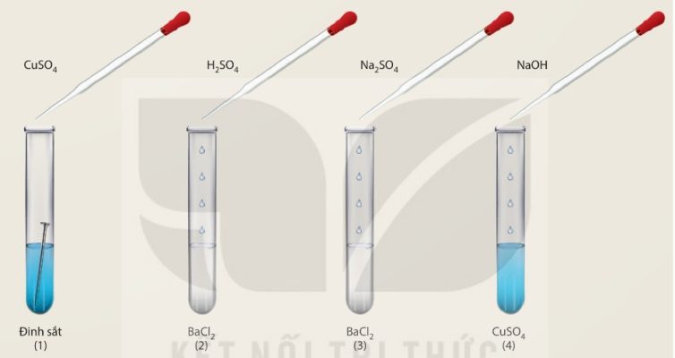 Thí nghiệm tính chất hoá học của muối