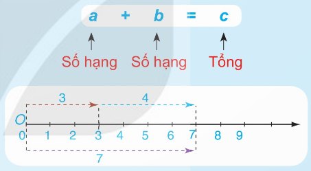 tia số minh hoạ phép cộng