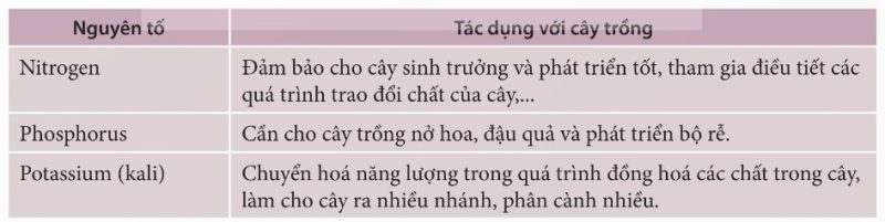 Vai trò của một số nguyên tố đa lượng đối với cây trồng