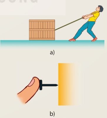 Ví dụ về áp lực: kéo thùng hàng, đóng đinh