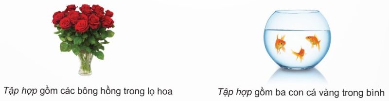 Ví dụ về tập hợp