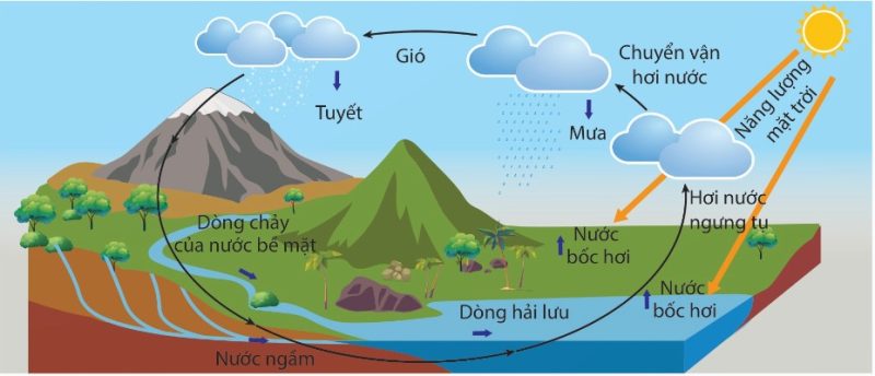 Vòng năng lượng theo vòng tuần hoàn của nước (Ảnh Sách KNTT)