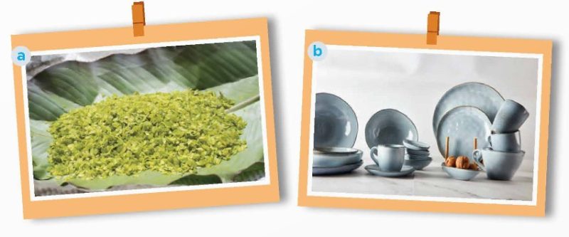 Work in pairs. Answer the questions