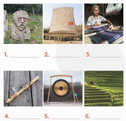 Write a word or phrase from the box under each picture