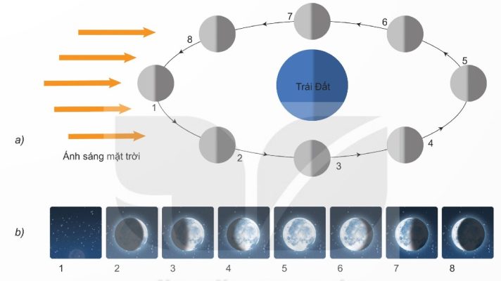 a) Một số vị trí của Mặt Trăng trên quỹ đạo; b) Hình dạng nhìn thấy tương ứng