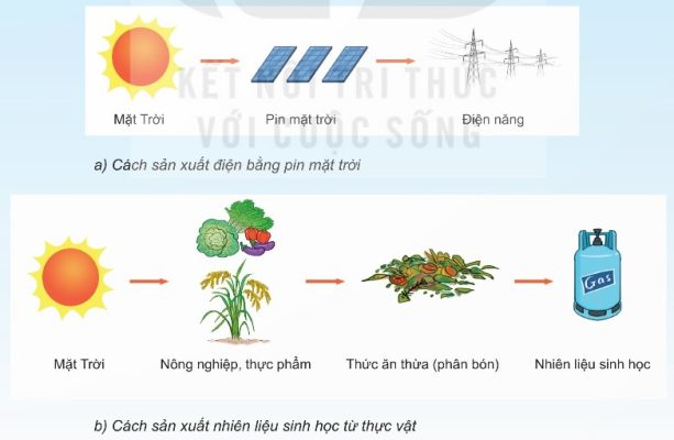 a) Sản xuất điện bằng pin mặt trời; b) Sản xuất nhiên liệu sinh học từ thực vật