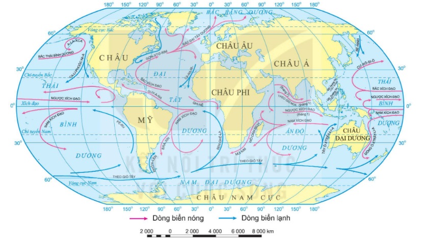 Bản đồ các dòng biển trên thế giới