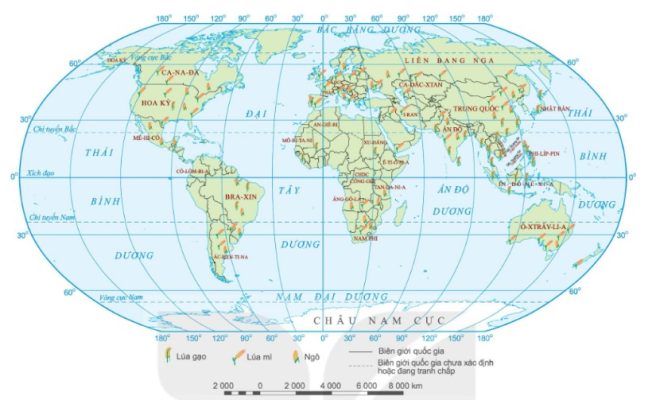Bản đồ phân bố các cây lương thực chính của một số nước trên thế giới, năm 2020