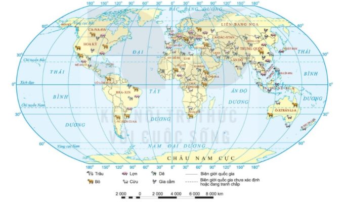 Bản đồ phân bố một số vật nuôi chính của một số nước trên thế giới, năm 2020