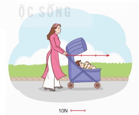 Biểu diễn lực đẩy xe nôi