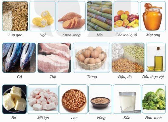 Các loại lương thực, thực phẩm thông thường