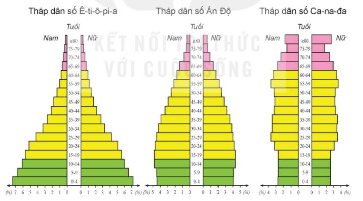 Các loại tháp dân số đặc trưng trên thế giới, năm 2020