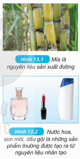 (Hình 13.1 – Mía là nguyên liệu sản xuất đường) (Hình 13.2 – Nước hoa, son môi, dầu gội được tạo từ nguyên liệu nhân tạo)