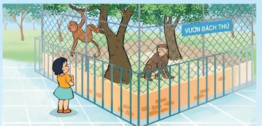 Hình minh hoạ vật sống và vật không sống