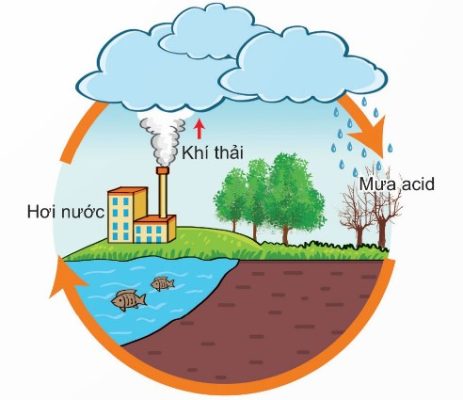 Khí thải độc hại gây mưa acid
