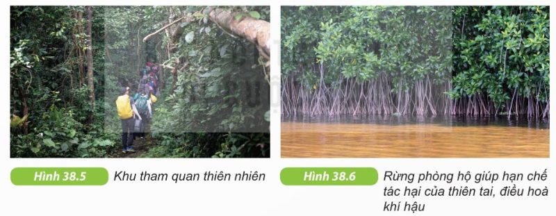 Khu tham quan thiên nhiên