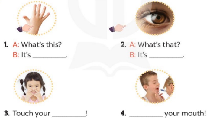 Lop 3 Unit 4 Lesson 3