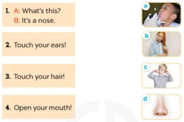 Lop 3 Unit 4 Lesson 3