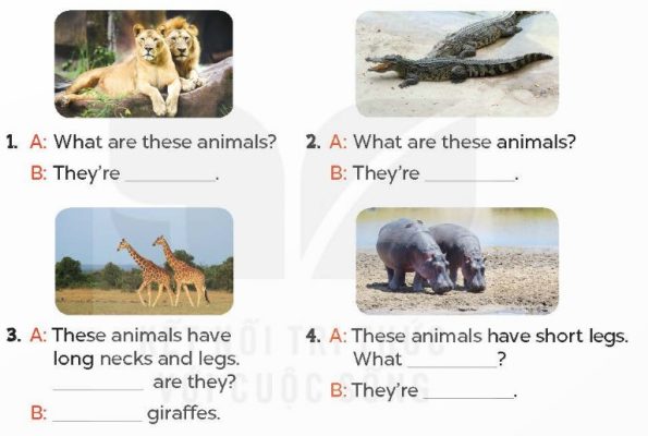 Lop 4 Unit 19 Lesson 1