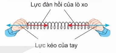 Lực đàn hồi