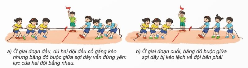 Lực khi kéo co: hai đội kéo co với lực bằng nhau và không bằng nhau