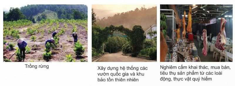 Một số biện pháp bảo vệ đa dạng sinh học