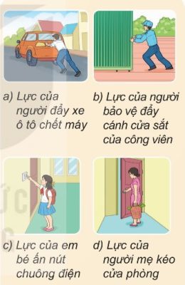 Một số lực thường gặp có độ lớn khác nhau