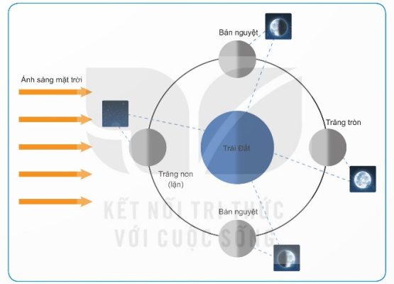 Một số vị trí Mặt Trăng trên quỹ đạo: Trăng non, bán nguyệt, Trăng tròn