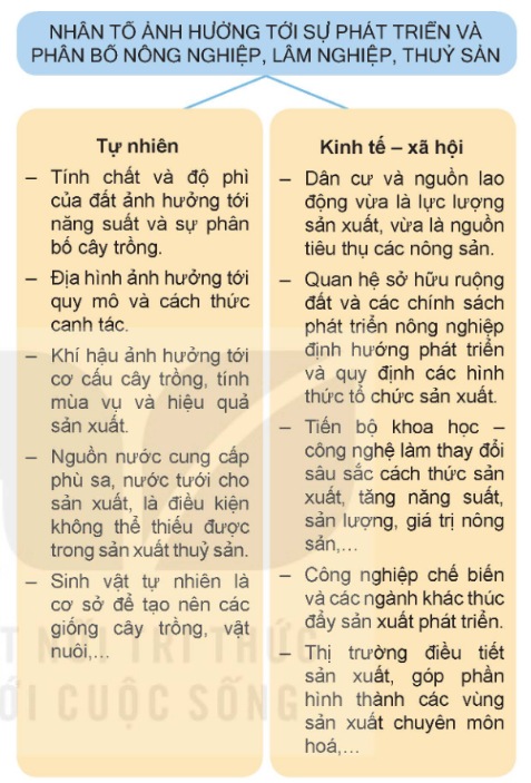 Nhân tố ảnh hưởng tới sự phát triển và phân bố nông nghiệp, lâm nghiệp, thuỷ sản