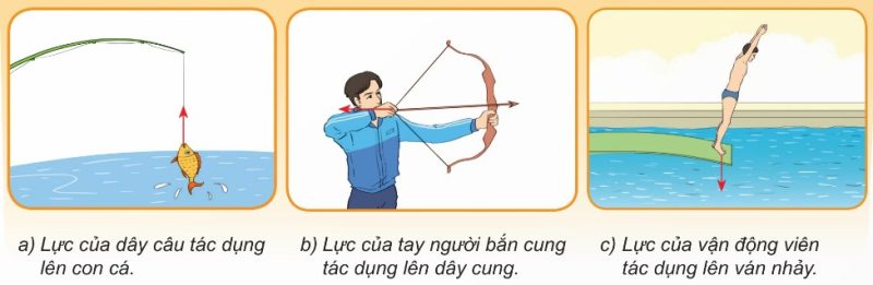 Phương, chiều của một số lực