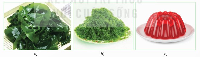 Rong biển sử dụng làm thức ăn (a, b); tảo dùng làm thạch (c)